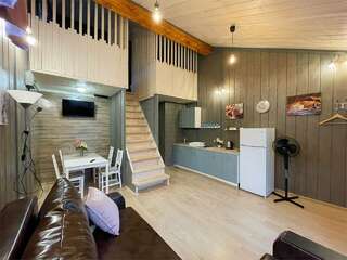 Гостиница Сканди Выборг VINTAGE LUX Апартаменты-1