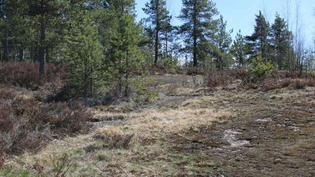 Гостиница Сканди Выборг-159