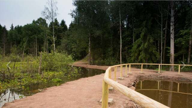 Гостиница Сканди Выборг-52