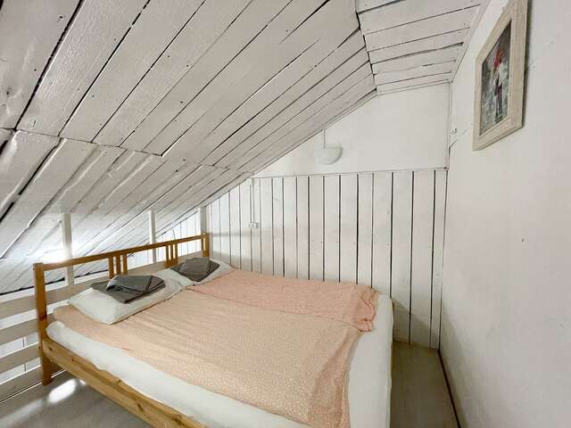 Гостиница Сканди Выборг-100