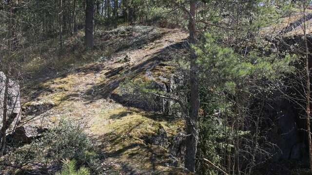 Гостиница Сканди Выборг-33