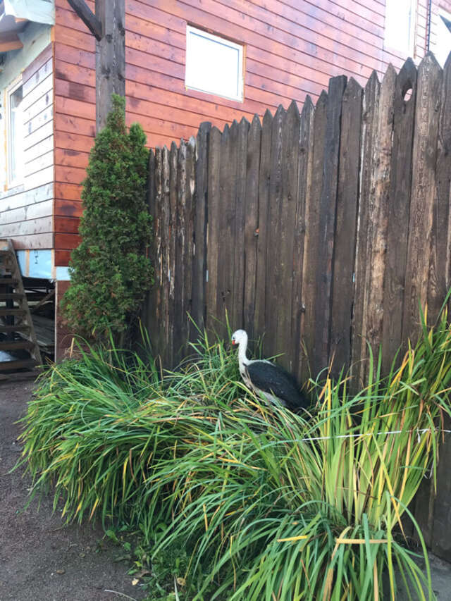 Гостиница Сканди Выборг-225