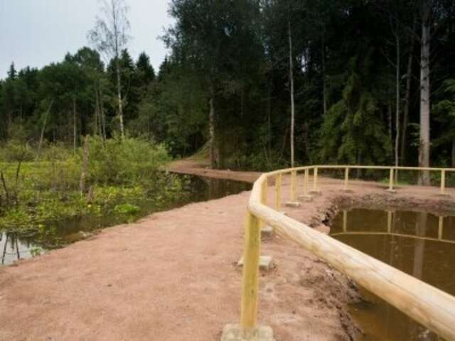 Гостиница Сканди Выборг-128